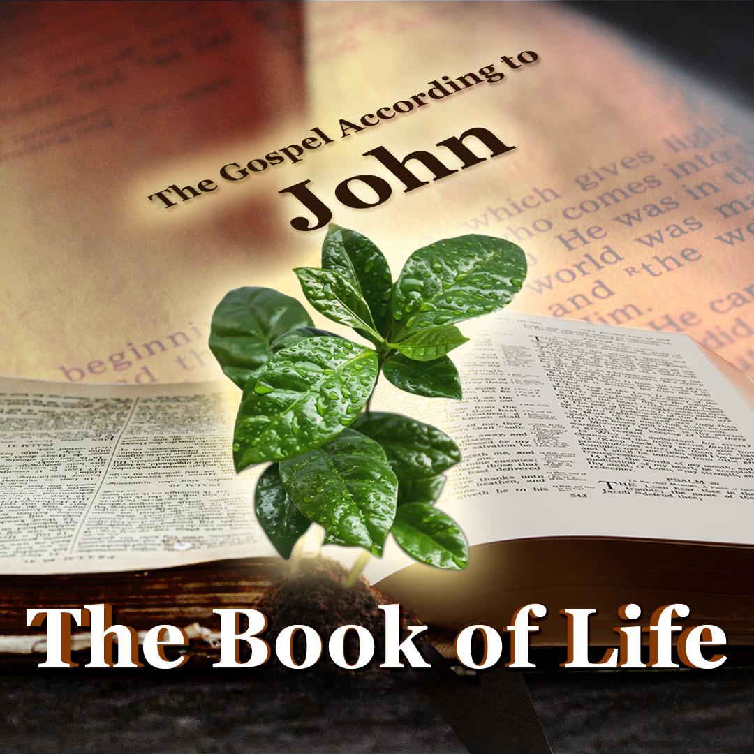 One Shepherd and One Flock! (John 10:1-18)