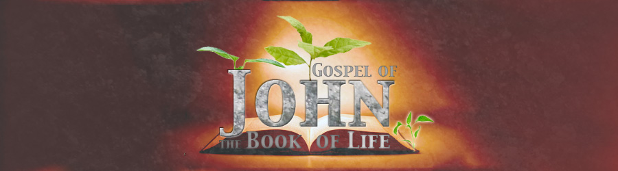 The Book of John is the Book of Eternal Life in Christ (John 21:15-25)